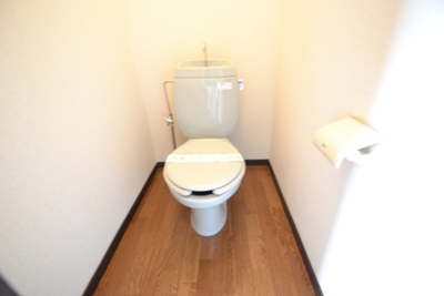 Other. Toilet