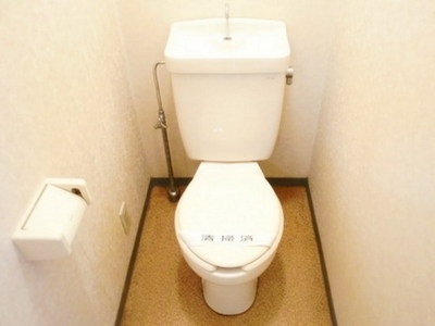 Toilet. Toilet