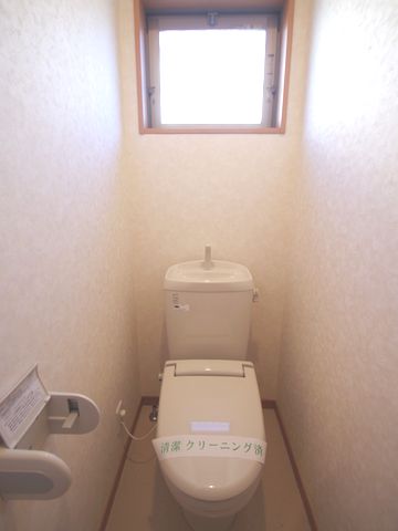 Toilet. Cold day in happy with warm toilet