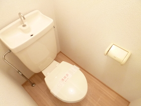 Toilet. Toilet