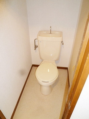 Toilet. Toilet