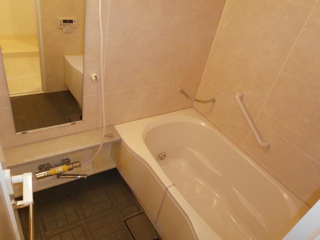 Bathroom. Handrail with Barusumu