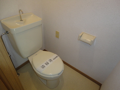 Toilet. Toilet is an important space!