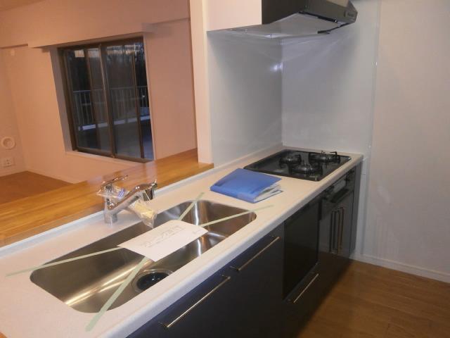 Kitchen. Kitchen with counter, Dishwasher, Water purifier built-in shower faucet, Cleaning effortless three-necked gas stove