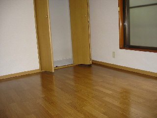 Living and room. 6 Pledge in the floor of flooring Western-style