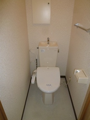 Toilet. Toilet