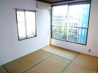 View. Bright Japanese-style room in the two-sided lighting