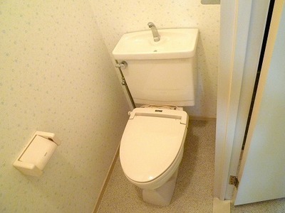 Toilet. Toilet