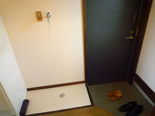 Entrance. Washing machine in the room