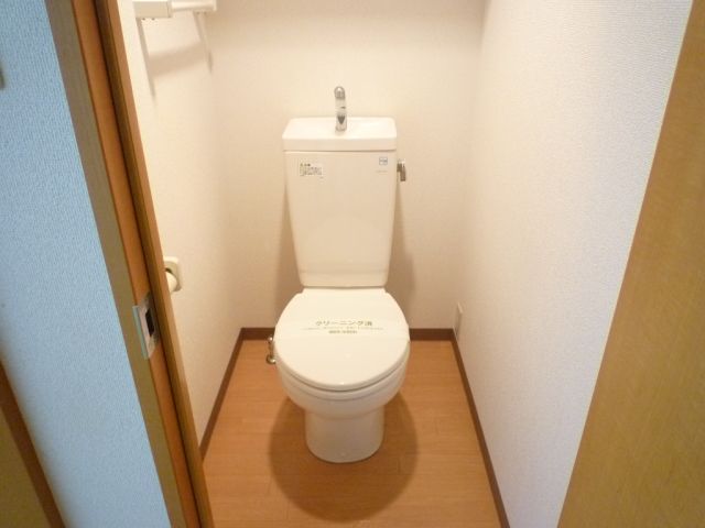 Toilet. Independent toilet