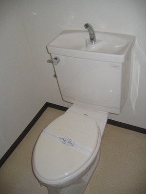 Toilet. Toilet with cleanliness