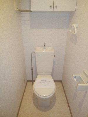 Toilet. Toilet is an important space