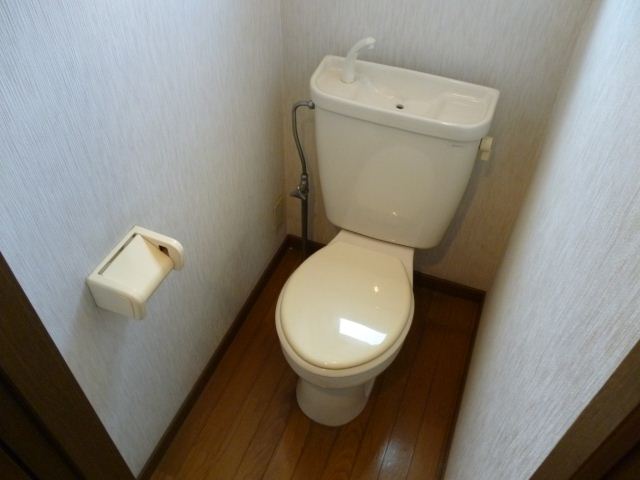 Toilet. A clean toilet.