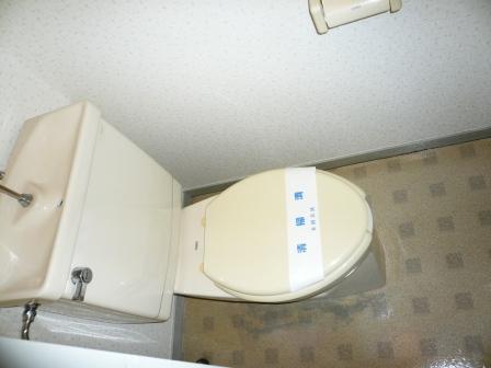 Toilet. Toilet