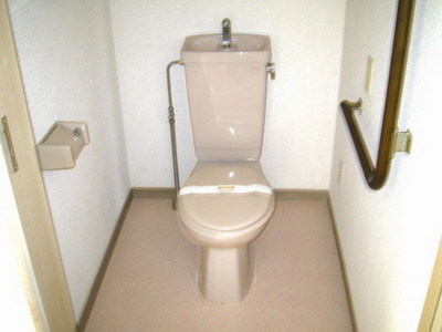 Toilet. Western-style toilet