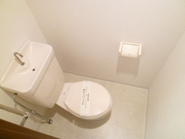 Toilet. Toilet of stylish flooring