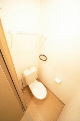 Toilet. Toilet is an important space! 