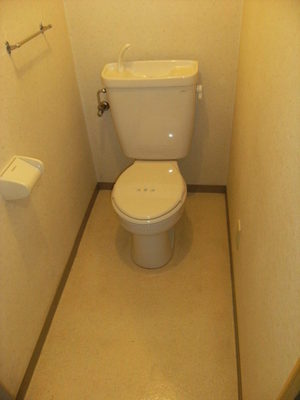 Toilet. Toilet