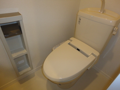 Toilet. Also has a bidet!