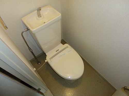 Toilet. Toilet