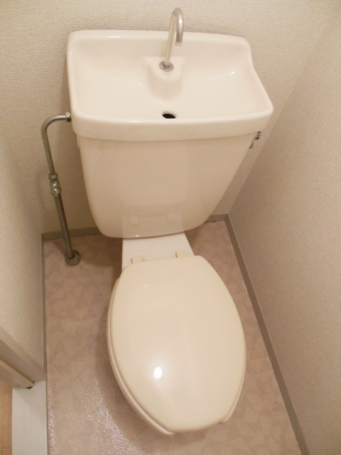 Toilet. Toilet