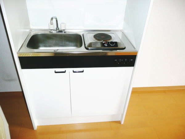 Kitchen. With electric stove flow table