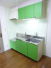 Kitchen. Kitchen was brilliantly finished with a green sheet