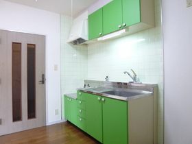 Kitchen. Kitchen was brilliantly finished with a green sheet