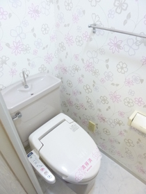 Toilet. Toilet was new to paste the cute floral wallpaper (with warm water cleaning toilet seat