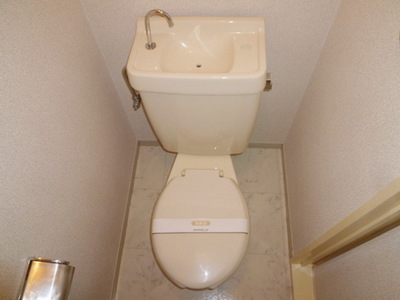 Toilet. Toilet