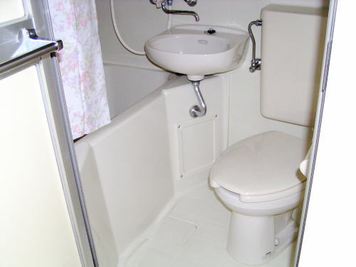 Bath. Bathroom toilet sharing basin hot water supply there