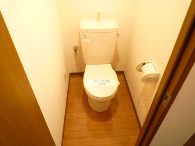 Toilet. Shoes also contains plenty with a shoe box