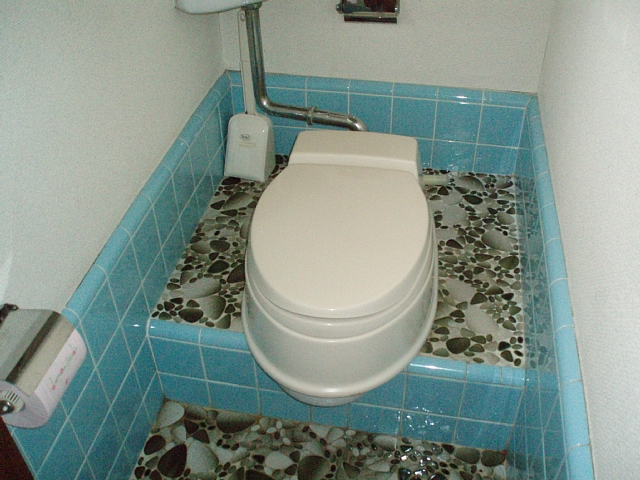 Toilet