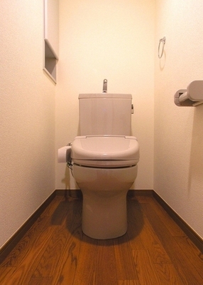 Toilet. Toilet space