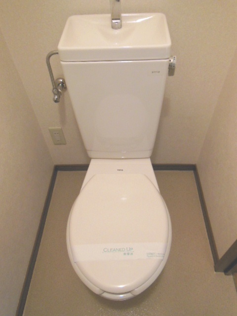 Toilet.  ☆ tray ☆