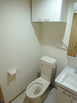 Toilet. During construction