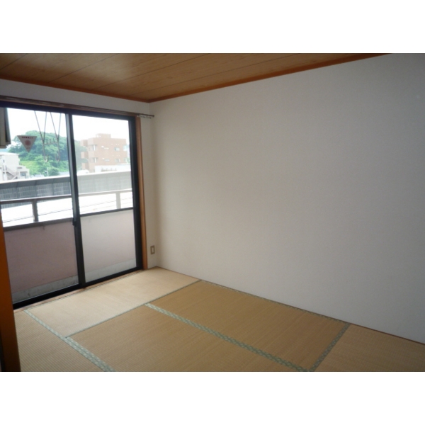 Living and room. Japanese style room