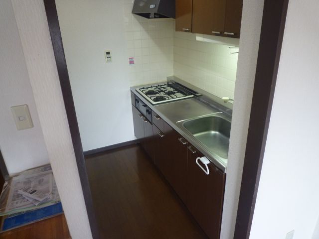 Kitchen. Convenient two-lot gas stoves specifications dishes