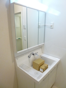 Washroom. Shower with separate wash basin