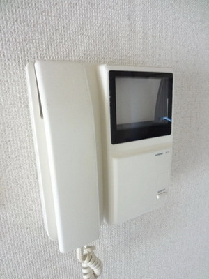 Security.  ☆ Monitor with intercom of peace of mind ☆