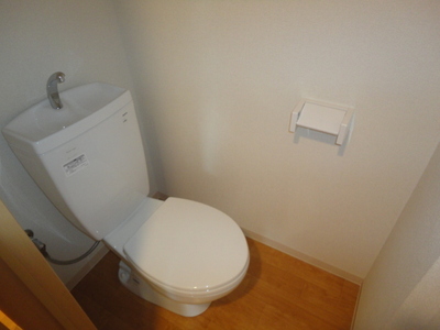 Toilet. Toilet is an important space! 