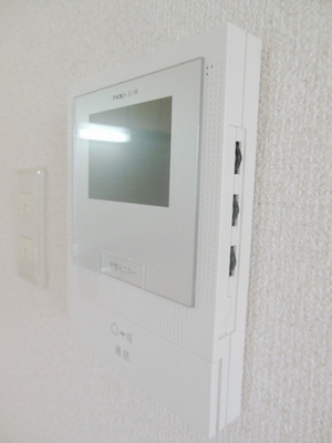 Security. Intercom with TV monitor