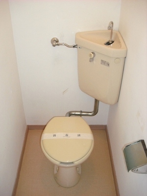 Toilet. Toilet