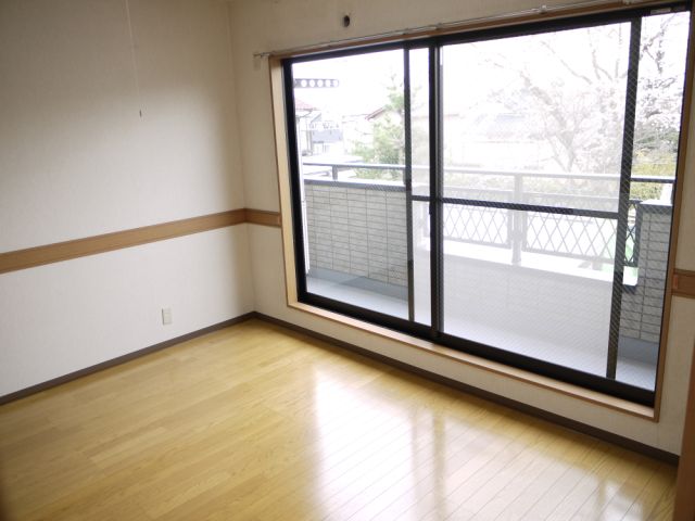 Living and room. Bright living plugging light from the south.