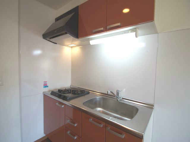 Kitchen. Convenient 2-neck system Gasukitchin! 