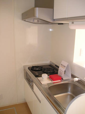 Kitchen. Stove is equipped with grill convenient two-necked