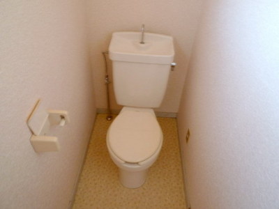 Toilet. Toilet