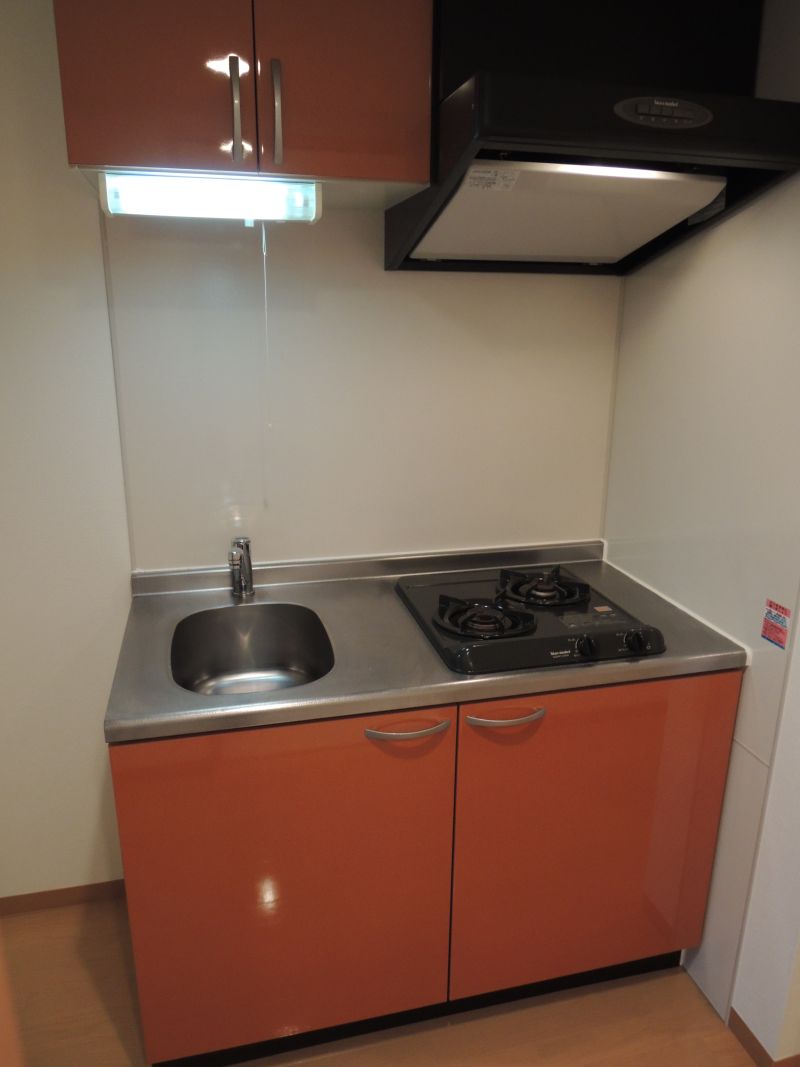 Kitchen. Convenient kitchen with a two-necked gas stove