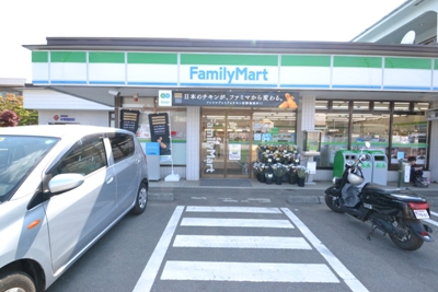 Convenience store. 750m until the family Ally Mart (convenience store)
