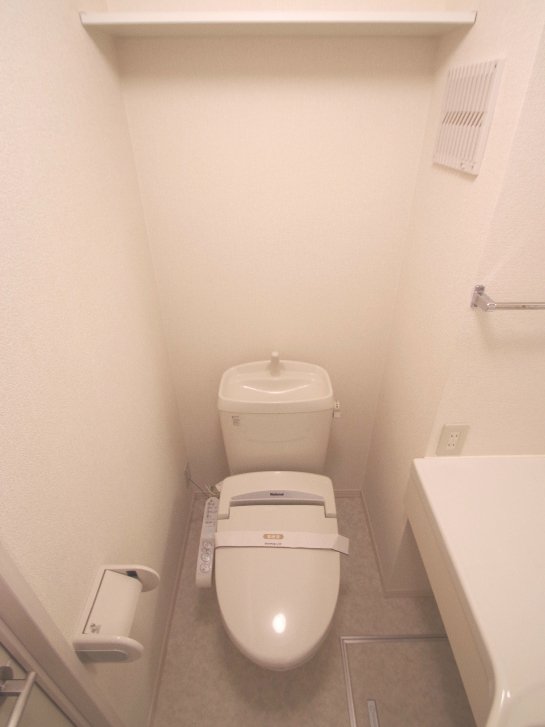 Toilet. Convenient hot water cleaning toilet seat because there is a shelf at the top!